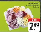 Chrysanthemen im Angebot bei EDEKA in Gera Chrysanthemen Angebote bei EDEKA Gera für 2,49 €