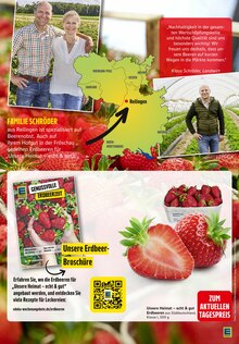 Erdbeeren im aktuellen EDEKA Prospekt (Saarbrücken) Erdbeeren im EDEKA Prospekt "Aktuelle Angebote" mit 43 Seiten (Saarbrücken)