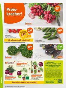 Salat im tegut Prospekt "tegut… gute Lebensmittel" mit 23 Seiten (Stuttgart)