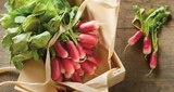 Promo Radis Rose à 0,69 € dans le catalogue Intermarché Express à Crosne