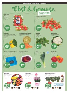 Paprika-Mix im V-Markt Prospekt "V-Markt einfach besser einkaufen" mit 22 Seiten (München)