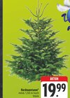 EDEKA - Nordmanntanne Angebot im Prospekt Nordmanntanne bei EDEKA im Prospekt "" für 19,99 €
