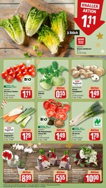 Ähnliche Stiefmütterchen Angebote im Prospekt "Dein Markt" von REWE in Trier Ähnliche Angebote wie Stiefmütterchen im Prospekt "Dein Markt" auf Seite 9 von REWE in Trier