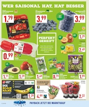 Pflanzen im Marktkauf Prospekt in Dinslaken Aktueller Marktkauf Prospekt mit Pflanzen, "Aktuelle Angebote", Seite 2