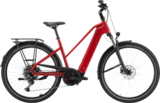 Solero EVO 10 City/Trekking E-Bike Angebote von Pegasus bei Zweiradcenter Markgraf & Linn GmbH Hagen für 2.999,00 €