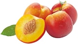Gelbfleischige Nektarinen im Angebot bei REWE in Braunschweig Gelbfleischige Nektarinen Angebote bei REWE Braunschweig für 3,99 €