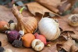 Angebot im Globus-Baumarkt Suhl Prospekt Globus-Baumarkt Suhl Prospekt mit im Angebot für