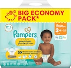Windeln Premium Protection  Gr. 3+ (7-11 kg) Big Pack Angebote von Pampers bei dm-drogerie markt Neumünster für 19,95 €