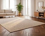 Aktuelles Naturlook-Teppich Mora Angebot bei Segmüller in Ingolstadt ab 14,99 €