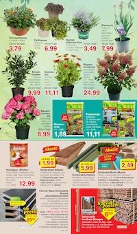 Sichtschutz Angebot im aktuellen Jawoll Prospekt auf Seite 7