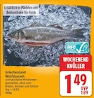Wolfsbarsch im aktuellen E center Prospekt