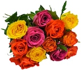 Strauß Rosen Harlekin im Angebot bei REWE in Augsburg Strauß Rosen Harlekin Angebote bei REWE Augsburg für 4,79 €