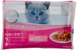 Promo Pâtées pour chat à 2,29 € dans le catalogue Carrefour à Vedène