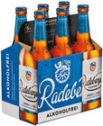 Aktuelles Radeberger Alkoholfrei Angebot bei Netto mit dem Scottie in Stendal (Hansestadt) ab 4,29 €