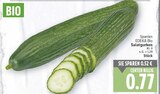 Salatgurken von EDEKA Bio im aktuellen E center Prospekt