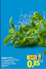 Promo Basilic à 0,85 € dans le catalogue Lidl à Saint-Christol-lès-Alès