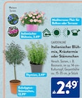 Italienischer Blühmix oder Kräutermix oder Stämmchen von GARDENLINE im aktuellen ALDI SÜD Prospekt für 2,49 €