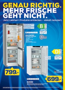 Kühlschrank im EURONICS Prospekt "GENAU RICHTIG. DIE DEALS DES SOMMERS." mit 14 Seiten (Dresden)