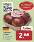 Aktuelles Tafeläpfel Angebot bei combi in Oldenburg ab 2,66 €