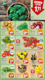 REWE Pfanne im Prospekt 