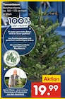 Tannenbaum Angebote bei Netto Marken-Discount Heilbronn für 19,99 €