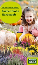 Pflanzen Kölle Prospekt: "Farbenfrohe Herbstzeit!", 12 Seiten, 07.10.2024 - 03.11.2024