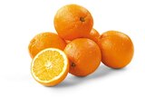 Bio Orangen von Rewe Bio im aktuellen REWE Prospekt für 1,79 €