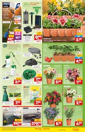 Aufbewahrungsbox im Netto Marken-Discount Prospekt in Karlsruhe Aktueller Netto Marken-Discount Prospekt mit Aufbewahrungsbox, "Aktuelle Angebote", Seite 15