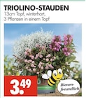 TRIOLINO-STAUDEN im Angebot bei Wreesmann in Weimar TRIOLINO-STAUDEN Angebote bei Wreesmann Weimar für 3,49 €