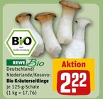 Bio Kräuterseitlinge Angebote von REWE Bio bei REWE Jena für 2,22 €