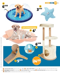Prix et réduction Chat dans le prospectus Gifi en cours Offre Chat dans le catalogue Gifi du moment à la page 21