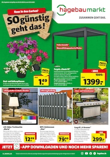 Hagebaumarkt Prospekt Raus in den Garten? SO günstig geht das! mit  Seiten in Peine und Umgebung