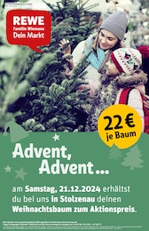 REWE Prospekt "Dein Markt" für Stolzenau, 26 Seiten, 16.12.2024 - 21.12.2024