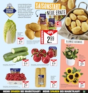 Aktueller Marktkauf Prospekt mit Kartoffeln, "Aktuelle Angebote", Seite 9