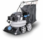 4IN1 Benzin-Laubsauger GFLS 1700 im Angebot bei Netto Marken-Discount in Hameln 4IN1 Benzin-Laubsauger GFLS 1700 Angebote von Güde bei Netto Marken-Discount Hameln für 649,99 €