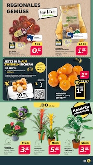 Kartoffeln Angebot im Netto mit dem Scottie Prospekt, gültig von 02.02.2026 bis 07.02.2026 Kartoffeln Angebot im aktuellen Netto mit dem Scottie Prospekt auf Seite 3