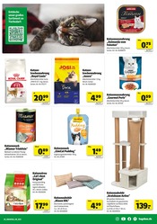 Kratzbaum im Hagebaumarkt Prospekt in Sindelfingen Aktueller Hagebaumarkt Prospekt mit Kratzbaum, "BLACK WEEK SALE", Seite 11