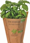 HERBES BIO AROMATIQUES en promo chez Intermarché HERBES BIO AROMATIQUES dans le catalogue Intermarché