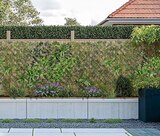 Künstlicher Bambuszaun Angebote bei Hornbach Potsdam für 50,95 €