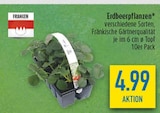 Aktuelle Erdbeerpflanzen Angebote bei diska in Dresden Aktuelles Erdbeerpflanzen Angebot bei diska in Dresden ab 4,99 €