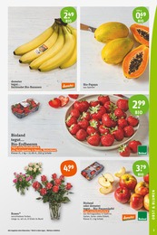 Melone Angebot im aktuellen tegut Prospekt auf Seite 5