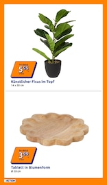Blumen im Action Prospekt in Menden Aktueller Action Prospekt mit Blumen, "Wochenangebote", Seite 33