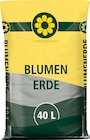 Blumen Erde bei Wreesmann im Ostrhauderfehn Prospekt für 1,99 €