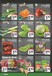Tomaten Angebot & Preis im aktuellen E center Prospekt Tomaten Angebot im aktuellen E center Prospekt auf Seite 6