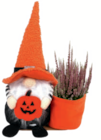 Halloween-Wichtel Angebote bei toom Baumarkt Dortmund für 8,99 €