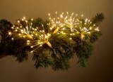 LED-Lichterkette im Angebot bei Lidl in Arnsberg LED-Lichterkette Angebote von LIVARNO bei Lidl Arnsberg für 7,99 €