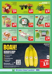 Aktueller Marktkauf Prospekt mit Kartoffeln, "AUSWAHL RIESIG, PREISE NIEDRIG", Seite 11