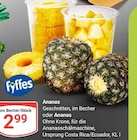 Ananas Geschnitten, im Becher im Angebot bei GLOBUS in Mannheim Ananas Geschnitten, im Becher Angebote von Fyffes bei GLOBUS Mannheim für 2,99 €