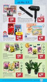 Blumenzwiebeln im ALDI Nord Prospekt in Hattingen Aktueller ALDI Nord Prospekt mit Blumenzwiebeln, "Aktuelle Angebote", Seite 25