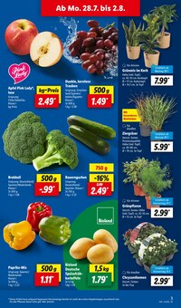Chrysantheme im Lidl Prospekt "LIDL LOHNT SICH" mit 67 Seiten (Hamburg)